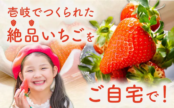 いちごセット（ゆめのか・恋みのり） [JEO001] 