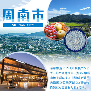 周南のほほんマレーグマ ぬいぐるみ くま 動物