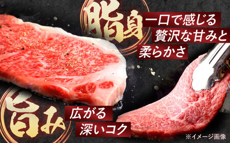 【全3回定期便】 長崎和牛 A5ランク サーロインステーキ 2枚 計400g / ステーキ すてーき 和牛 牛肉 ぎゅうにく 国産牛 牛 肉 サーロイン A5 焼肉 / 諫早市 / 焼肉おがわ [AHCD007]