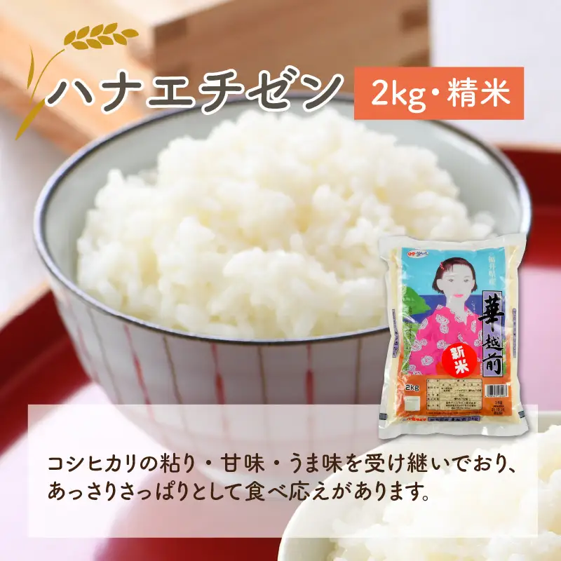 【先行予約】福井のお米 食べ比べセット 2kg × 3種（コシヒカリ・いちほまれ・ハナエチゼン）計6kg 【2026年10月上旬～2027年7月下旬発送予定】 [A-1009]