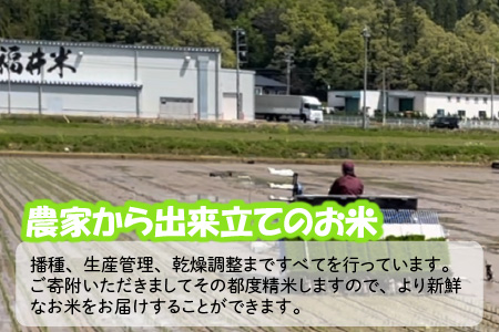 【令和7年産】 おおかわさんちのコシヒカリ 10kg [B-10802]