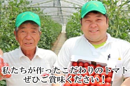 定期便 年2回お届け「越のルビー」 1.8kg (計3.6kg)　～甘くて濃厚なトマトをお届けします～ 【1回目：2026年6月上旬〜6月下旬 / 2回目：2026年9月上旬〜9月下旬】 [B-1101]