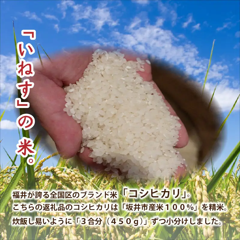 さかいの恵みが味の決め手！ しょうゆと味噌とコシヒカリ！【A-1201】