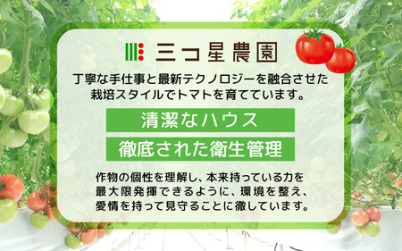 【先行予約】 新鮮トマト 1ケース 約4㎏ (16～24玉入) 【2026年5月上旬以降順次発送予定】 とまと [A-2606]