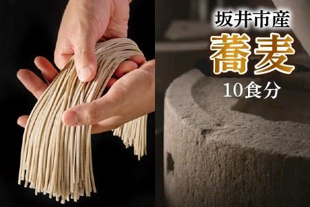 若狭牛A4等級切り落とし 400g ＋ 坂井市の蕎麦 10食分【A-3251】