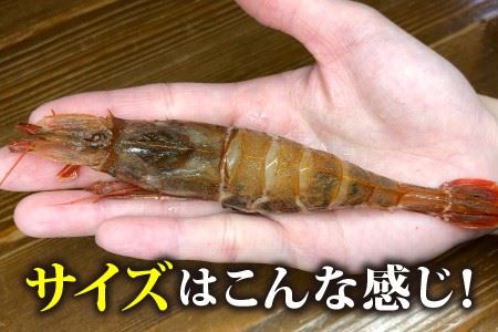 幻の逸品！とろける旨さのガサエビとやまに厳選！特製しょうゆセット [A-4374]