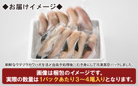 ウマヅラカワハギ むき身 3～4尾入り × 2パック (合計6～8尾) 冷凍 真空パック 【ウマヅラハギ カワハギ 鮮魚 白身魚 鍋 煮付け フライ 焼き物 魚介類 魚貝類 加工品】 [A-5833]