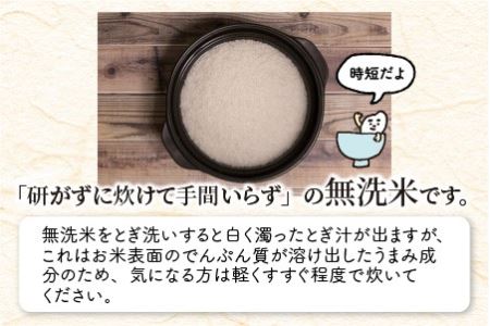 【令和7年産】 福井県のブランド米 いちほまれ 無洗米 4kg（2kg × 2袋） 無洗米 人気 品種 ブランド米 特A  [A-6115] 