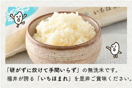 【令和7年産】福井県のブランド米 いちほまれ5kg 無洗米 【 人気 品種 ブランド米 特A 】 [A-6117]