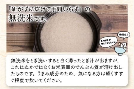 【令和7年産】定期便 ≪3ヶ月連続お届け≫ 福井県のブランド米 いちほまれ 無洗米 2kg × 3回　計6kg 【 人気 品種 ブランド米 特A 】 [B-6111]