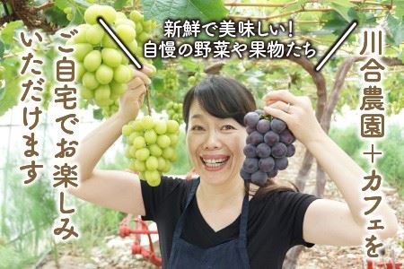 自家製ハーブティーにぴったりの川合農園アフタヌーンセット ～季節を味わうお野菜とシフォンケーキ付き～【A-7501】