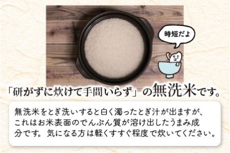 【令和7年産】 福井県のブランド米 いちほまれ 無洗米 10kg （5kg × 2袋）【 無洗米 人気 品種 ブランド米 特A 】 [C-6112]