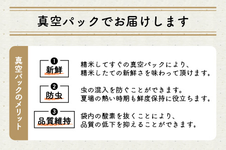 【令和7年産】特別栽培米 コシヒカリ匠 12kg (2kg × 6袋)（白米）栽培期間中農薬不使用 / コシヒカリ こしひかり 白米 お米[F-2926_01]