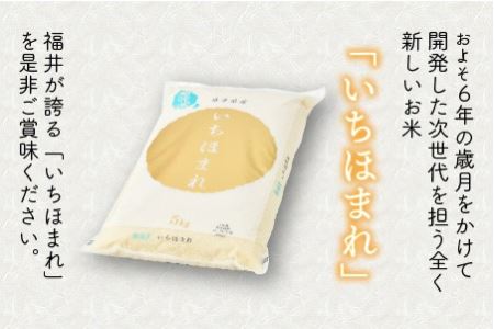 【令和7年産】定期便 ≪3ヶ月連続お届け≫ 福井県のブランド米 いちほまれ 無洗米 5kg × 3回 計15kg 【 無洗米 人気 品種 ブランド米 特A 】 [E-6109] 