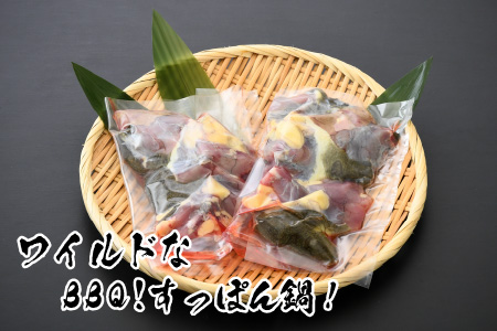 キャンプにバーベキューに「すっぽんバーベキュー！」 ワイルドにスッポンを食べてみませんか？ [C-6401]