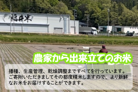 【令和7年産】 【6ヶ月連続お届け定期便】おおかわさんちのコシヒカリ 5kg × 6回 計30kg 精米 [G-10802]