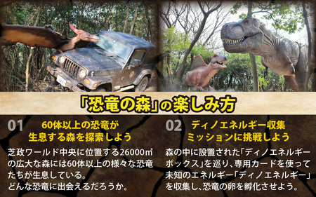 芝政ワールド スーパーパスポート4名様（おとな2名・こども2名） 遊園地 プール チケット レジャー施設 恐竜 [E-3901]