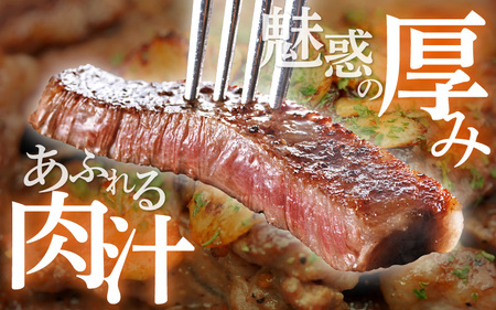 厚切り！ 若狭牛特上サーロインステーキ 250g × 3枚 [E-1803]