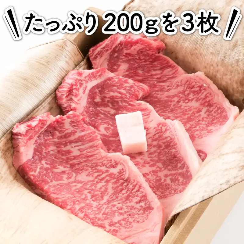 福井のお米で育てた野村さんの若狭牛 「熟成サーロインステーキ」 200g × 3枚 【サーロイン ステーキ肉 若狭牛 国産和牛 黒毛和牛 黒毛和種 ブランド牛 和牛 肉 牛 牛肉 坂井市 福井県産 国産 冷凍】 [E-2003]