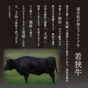 とろける若狭牛ロース 750g  [E-2102]