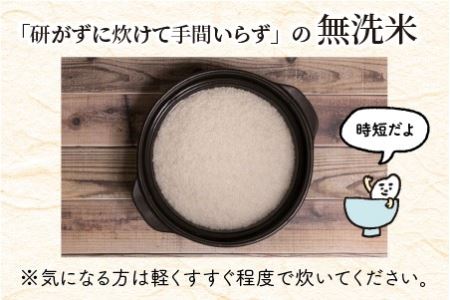 【令和7年産】 定期便 ≪3ヶ月連続お届け≫ 福井県のブランド米 いちほまれ 無洗米 10kg × 3回 計30kg 【 無洗米 人気 品種 ブランド米 特A 】 [J-6108] 