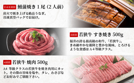 【定期便 6回コース】 蒲焼き鰻 と 肉の鉄板コース 定期便 【うなぎ＆若狭牛】【牛肉 牛 国産牛 国産 和牛 お肉 ブランド牛 焼肉 鰻のかば焼き ウナギ 黒毛和種 黒毛和牛 A4等級クラス 人気】 [I-3201]