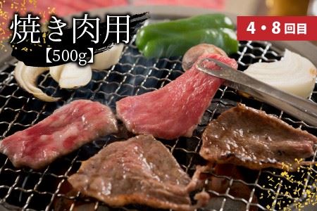 定期便 12回 若狭牛三昧MAX 牛肉 ステーキ 切り落とし 国産 [N-3202]