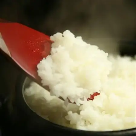 無洗米広島県産コシヒカリ10kg【1294707】