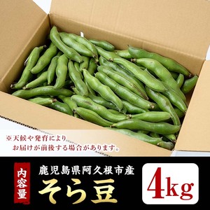 訳あり！鹿児島県阿久根市産そら豆(4kg) 野菜 旬 春野菜 訳アリ 国産 鹿児島県産 阿久根市産 そら豆 ソラマメ おつまみ【黒坂青果】akn049-03