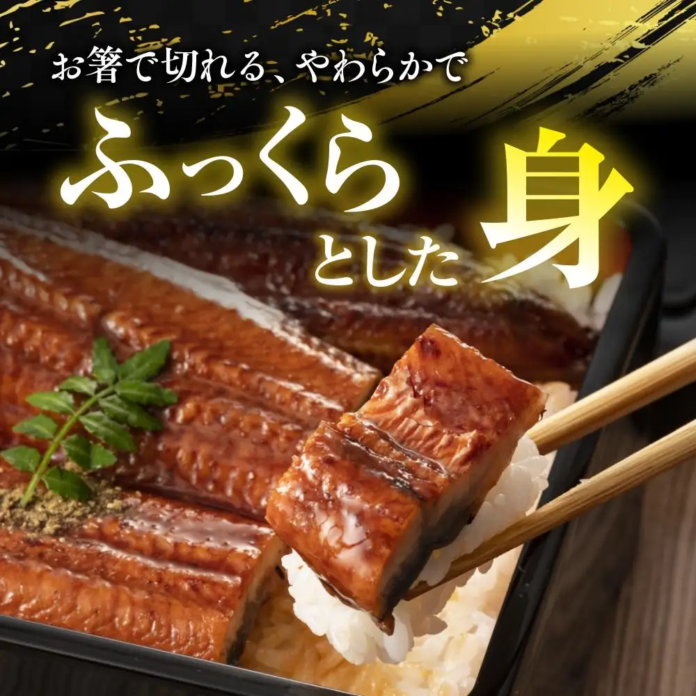 うなぎの蒲焼3尾 タレ付き（2本） YZ002 