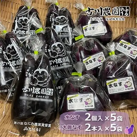【産地直送】古川農園「大阪なす」と「水なす」の食べ比べセット_野菜 茄子  なす ナス_【1293804】