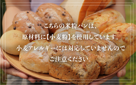 【定期便】6回お届け おまかせ冷凍パン（4～5種類 8～10個）お米の甘味がギュッと詰まった コシヒカリ 黄金の煌き 和仁農園  米粉 玄米粉 お楽しみ 詰め合わせ[Q1177xpi]