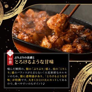 味付けトロホルモン(計2kg・200g×10パック)国産 焼肉 絶品 特Ａランク ホルモン ホルモン焼き 牛肉 味付け トロ 牛トロ モツ 牛モツ 小腸 バーベキュー 冷凍【m25-08】【有限会社Two Village】