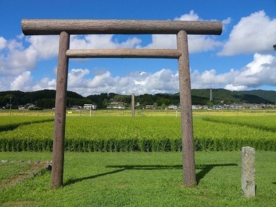 伊勢ひかり 5kg お米 白米 精米 伊勢 志摩 【三重県志摩市】