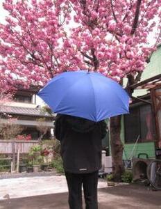 とち介の雨日和～雨の日が楽しみになる傘～(長傘)【玩具 雑貨 日用品 人気 おすすめ 】