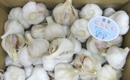 【6月中旬頃～発送】【訳あり】にんにく 国産 乾燥にんにく 1.8kg (バラ詰め）