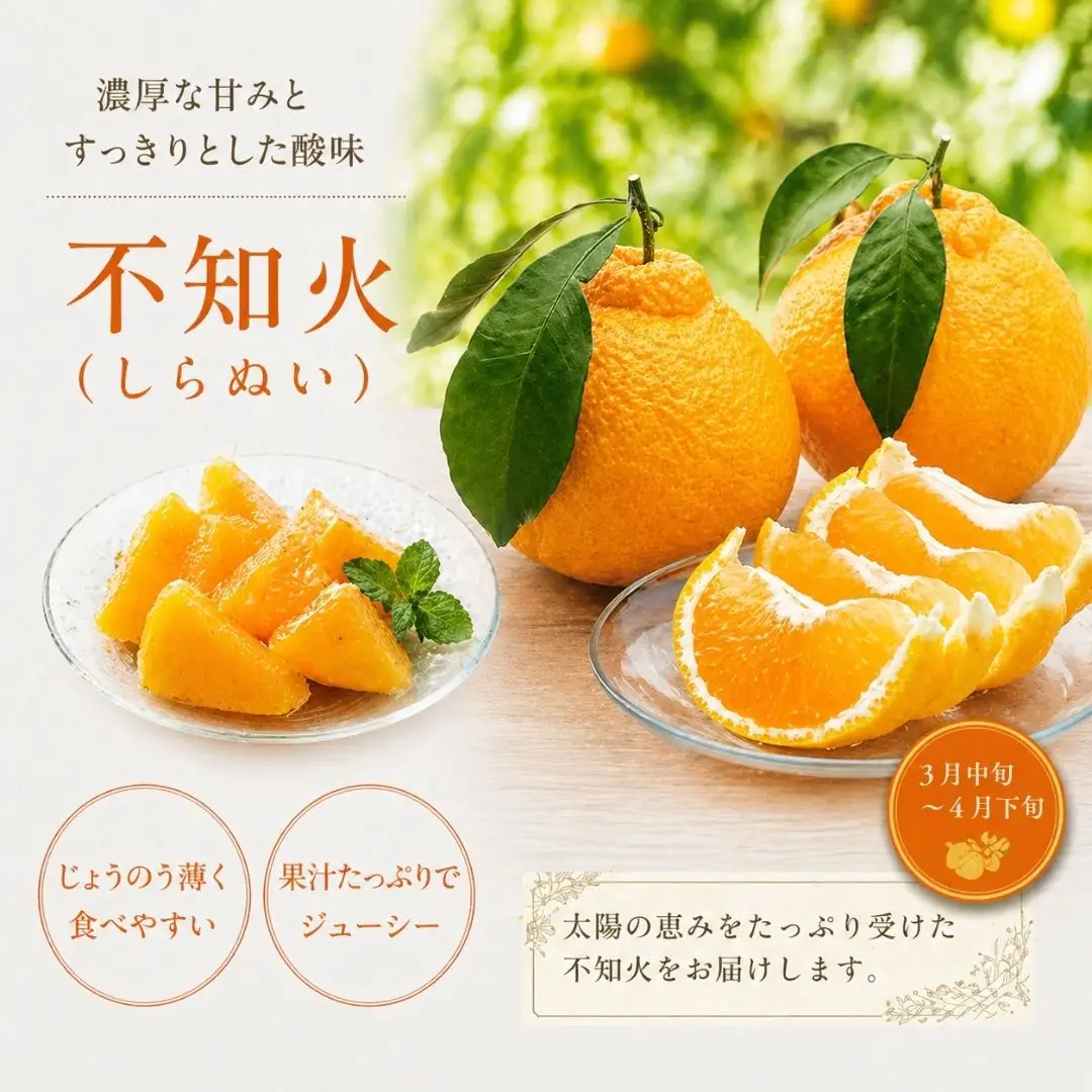 【3回定期便】旬のフルーツ食べ比べ（シャインマスカット・イチゴ・不知火）