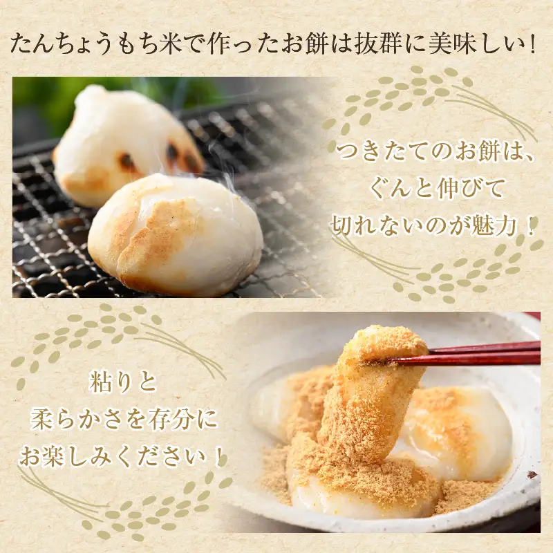 【令和7年産】たんちょうもち米 1.5kg×3袋（計4.5kg）精米 ≪希少！お餅作りに最良≫ ／ 餅 タンチョウ 餅つき 丸餅 柏餅 [aw064-a020]