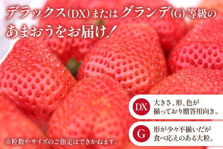 【期間限定発送】いちご あまおう 4パック いちご [21760096]