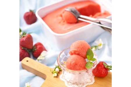 あまおうを使用した フルーティーで 濃厚あまおうジェラート 1000ml [南国フルーツ株式会社 福岡県 筑紫野市 21760115]