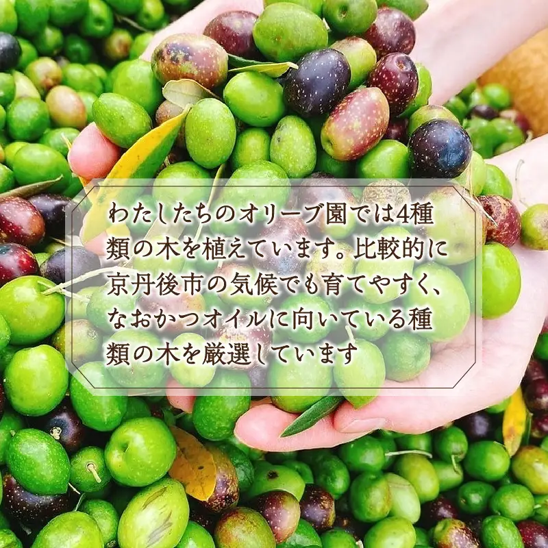 国産100％ 『太陽と雪のオリーブ』 KANDAN エキストラバージンオリーブオイル 180ｇ 京丹後産100％