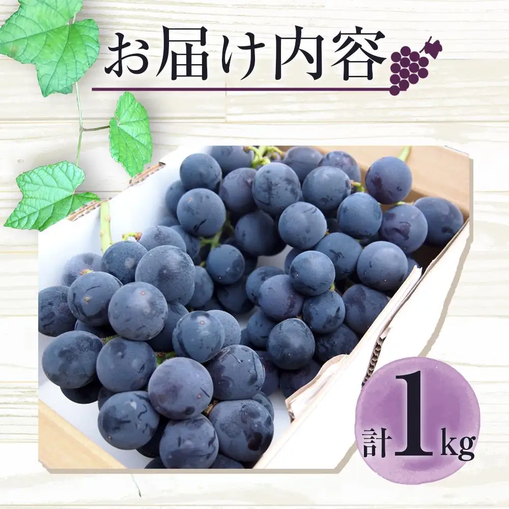 ぶどう 巨峰 栃木市藤岡町産 1kg【フルーツ 果物 くだもの 食品 人気 おすすめ 】