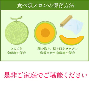 北海道石狩産 赤果肉メロン2玉 計3.2kg以上｜メロン フルーツ 果物 北海道 石狩市