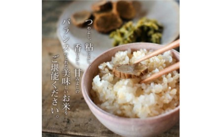 S050-008A_【令和7年産】コシヒカリ 玄米 5kg