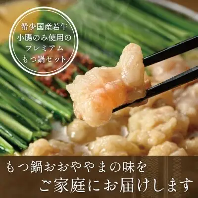 Z65-83 寄附額改定↓↓ 【定期便3ヶ月】博多もつ鍋おおやまもつ鍋しょうゆ味2人前 もつ鍋