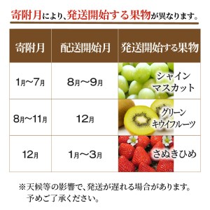 産地厳選三豊のフルーツ3回定期便C
