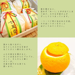 ＜京都栗菓匠 若菜屋＞甘夏羹（あまなつかん） ゼリー 4個入り