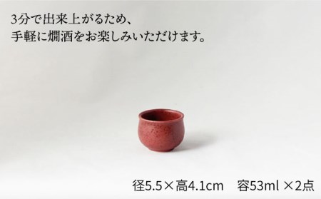 【美濃焼】＜お好みの温度でお酒を楽しむ＞酒燗器 盃2個セット エンジ【山淳製陶所】【TOKI MINOYAKI返礼品】 食器 徳利 お猪口 冷酒 熱燗 とっくり おちょこ ぐい呑み ぐいのみ 酒器 臙脂 えんじ 赤 レッド 送料無料 [MAP005]