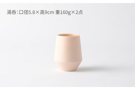 【美濃焼】frustum 土瓶湯呑3点セット（素焼風）【晋山窯ヤマツ】≪土岐市≫ 茶器 茶器セット 急須 ポット ティーポット [MAS007]