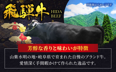 飛騨牛 ランプステーキ 300g(150g×2)【マルゴー】[MBE032]